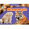 First Facts: Mammals - Rr 15-16